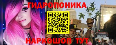 apvp Можайск