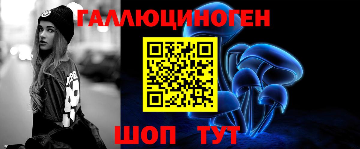 Галлюциногенные грибы GOLDEN TEACHER  Вход с VPN  Псилоцибиновые грибы Psilocybe  Урус-Мартан 